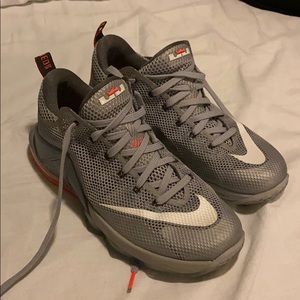 Nike Lebron 12 Low Wolf Grey